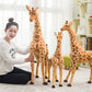 plush giraffe toy